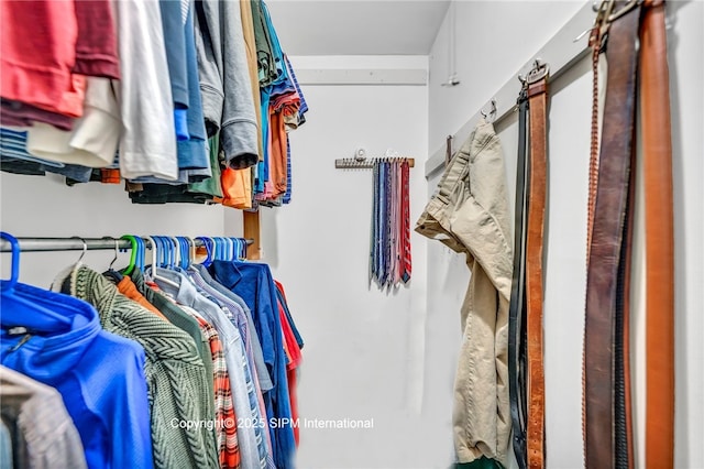 view of walk in closet