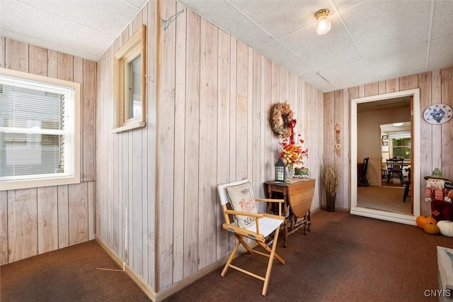 interior space with wooden walls and dark colored carpet