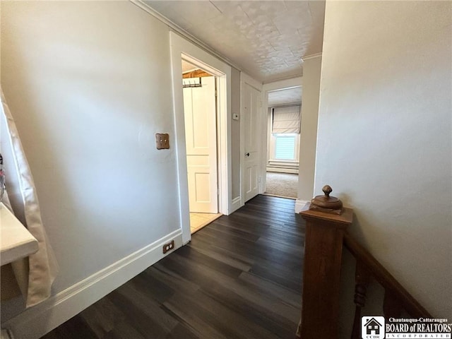 corridor featuring ornamental molding and dark hardwood / wood-style floors