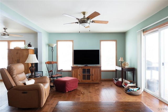 living room featuring ceiling fan and wood-type flooring