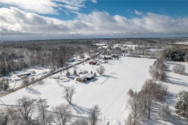 view of snowy aerial view