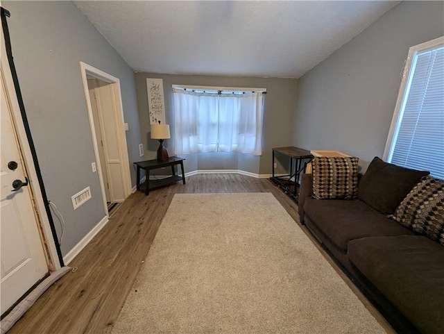 living room with wood-type flooring and vaulted ceiling