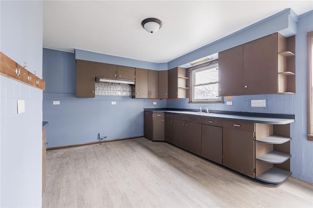 kitchen featuring tasteful backsplash, dark brown cabinetry, sink, and light hardwood / wood-style flooring