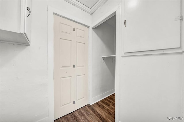 walk in closet with dark hardwood / wood-style flooring