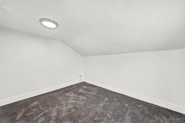 additional living space featuring lofted ceiling, a textured ceiling, and carpet flooring