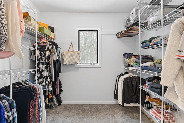 walk in closet featuring carpet