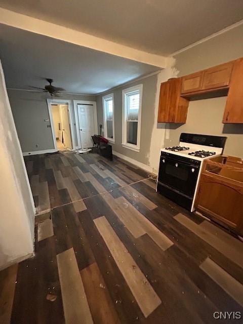 kitchen featuring range with gas cooktop, ornamental molding, dark hardwood / wood-style floors, and ceiling fan