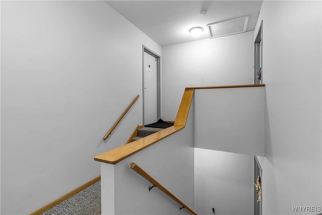 stairway with attic access, carpet flooring, and baseboards