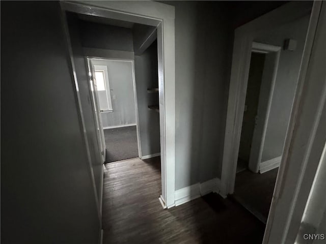 hall with dark hardwood / wood-style flooring