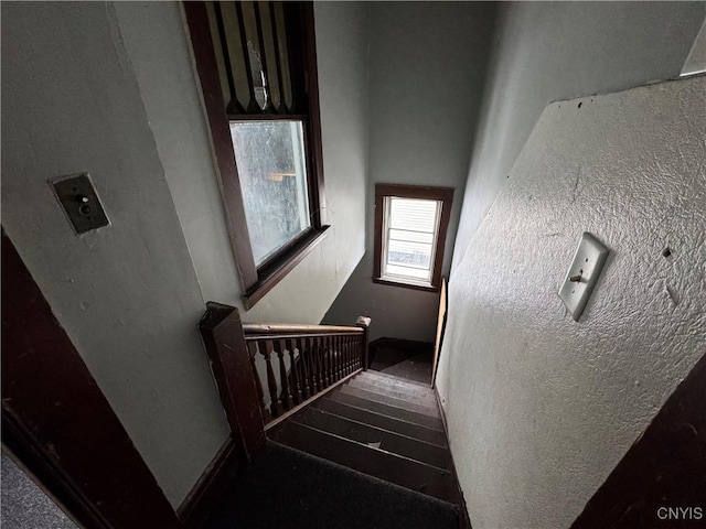 stairway featuring wood-type flooring