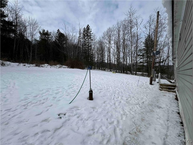 view of snowy yard