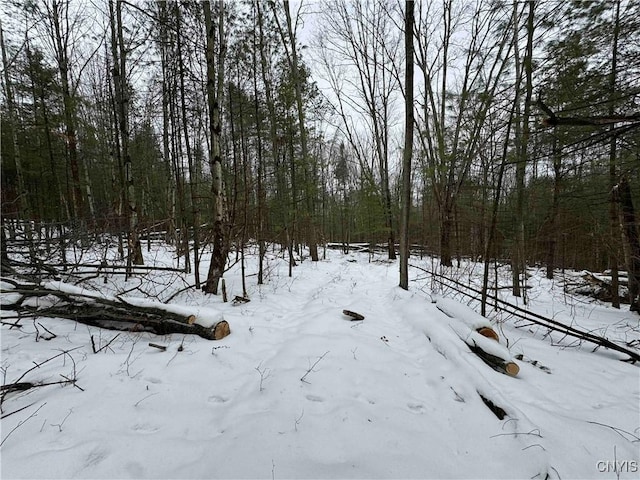 view of yard covered in snow