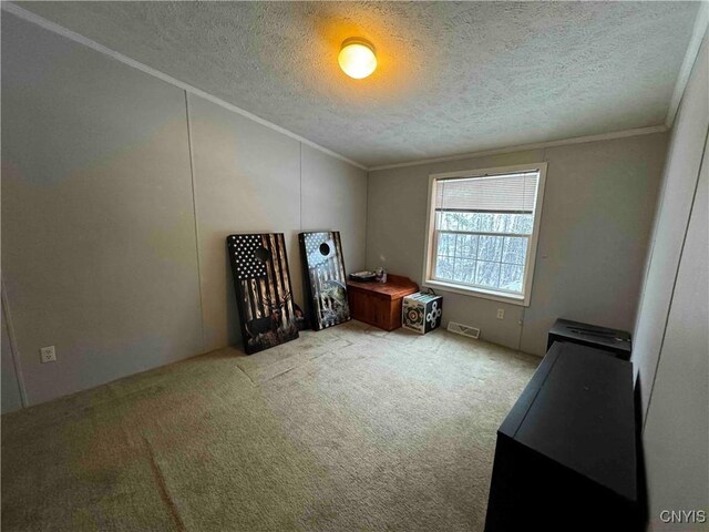 miscellaneous room featuring crown molding, carpet floors, and a textured ceiling