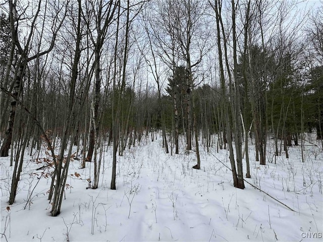 view of snowy landscape