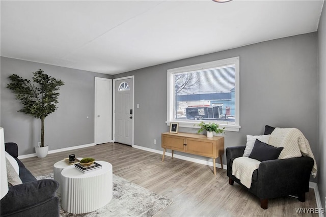 sitting room featuring light hardwood / wood-style flooring