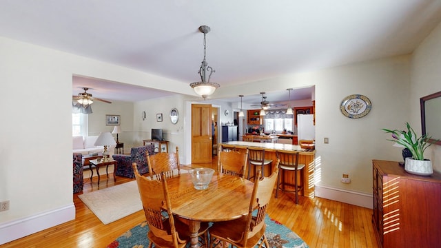 dining room with light hardwood / wood-style floors and ceiling fan