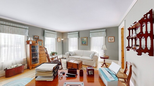 living room featuring ornamental molding and hardwood / wood-style floors