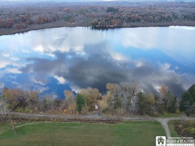 Listing photo 3 for 8216 Glasgow Rd, On The Lake, Pomfret NY 14718