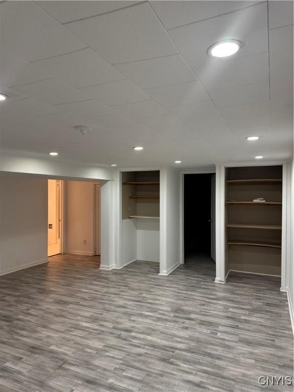 basement featuring wood-type flooring