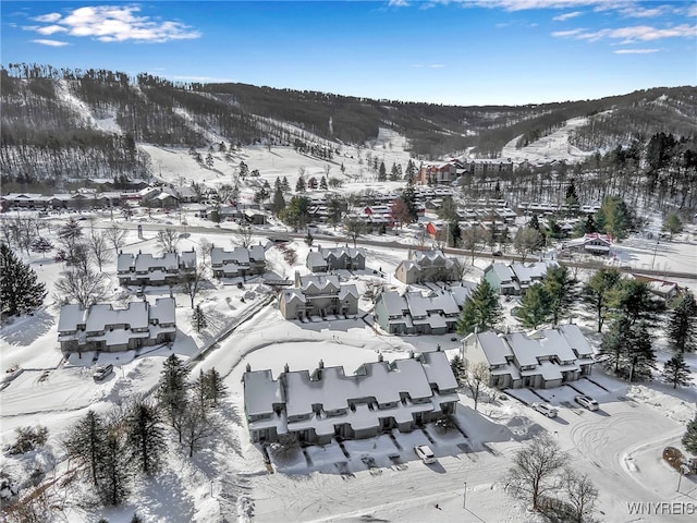 snowy aerial view with a mountain view