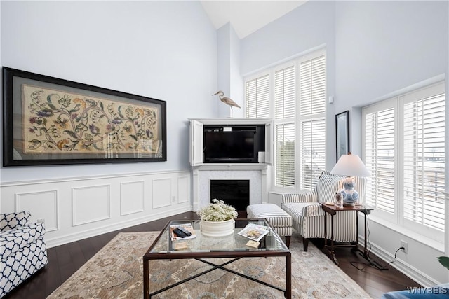 living room with dark wood-type flooring and high vaulted ceiling