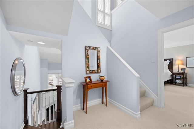 stairs featuring carpet flooring