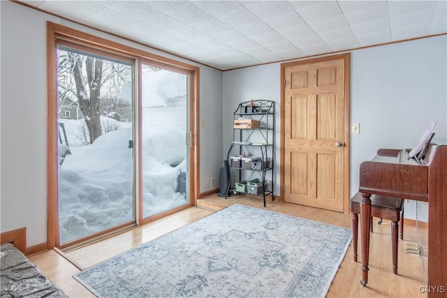 doorway to outside with light wood-type flooring