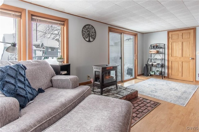 living room with wood-type flooring and a wood stove