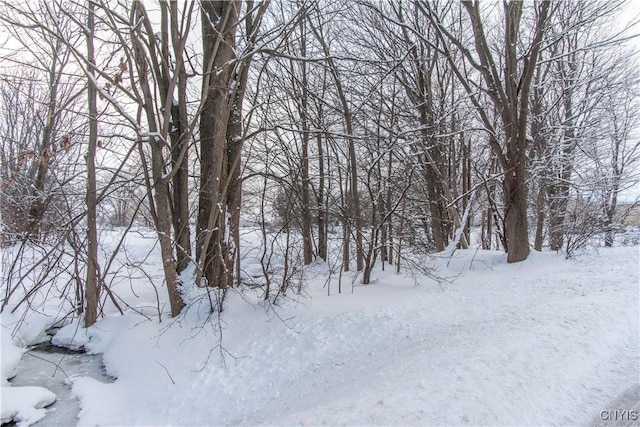 view of snowy view