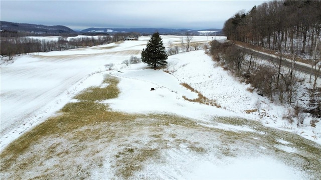 yard covered in snow featuring a mountain view