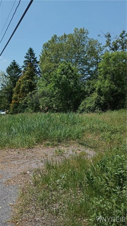 4876 William St, Lancaster NY, 14086 land for sale