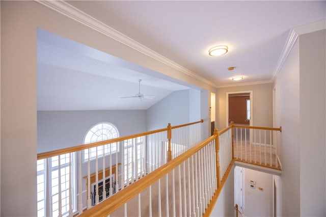 hallway featuring crown molding and vaulted ceiling