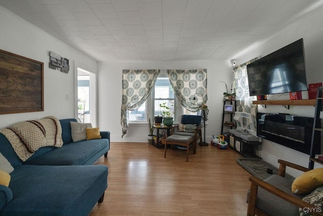 living room featuring light hardwood / wood-style flooring