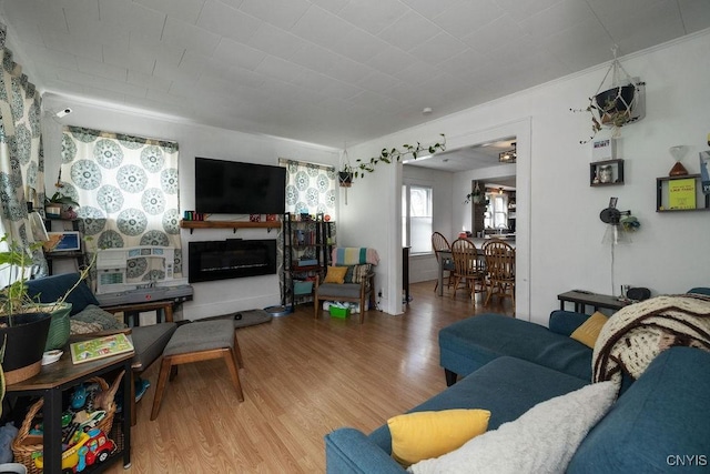 living room with light hardwood / wood-style floors