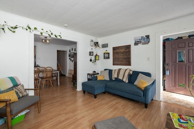 living room with light wood-type flooring