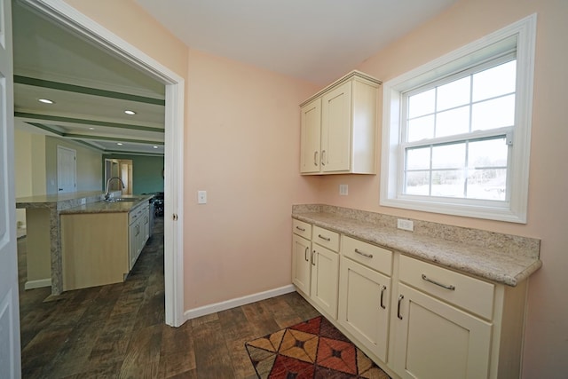 kitchen featuring dark wood-type flooring and sink