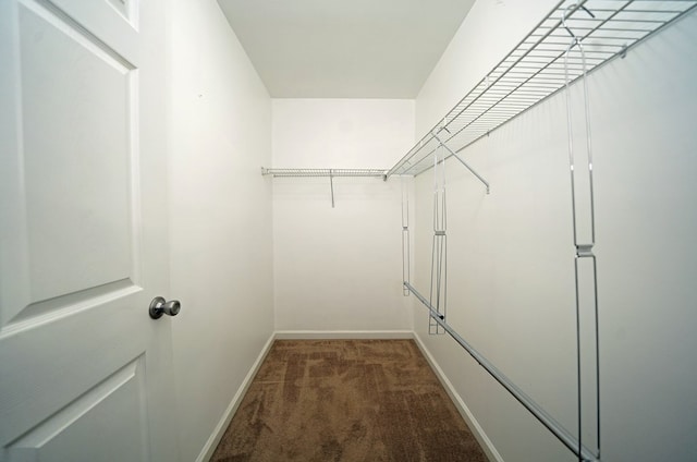 spacious closet with carpet floors