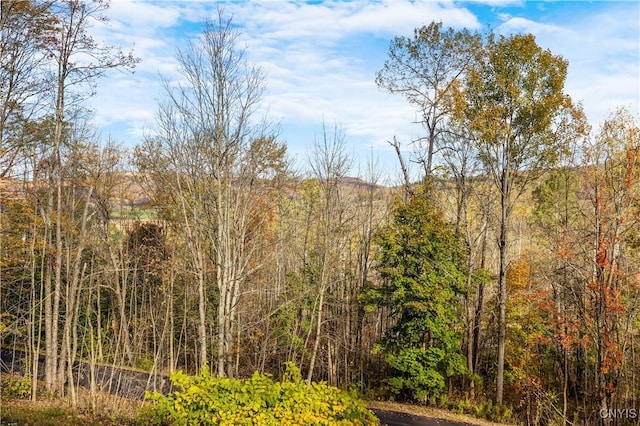 view of landscape