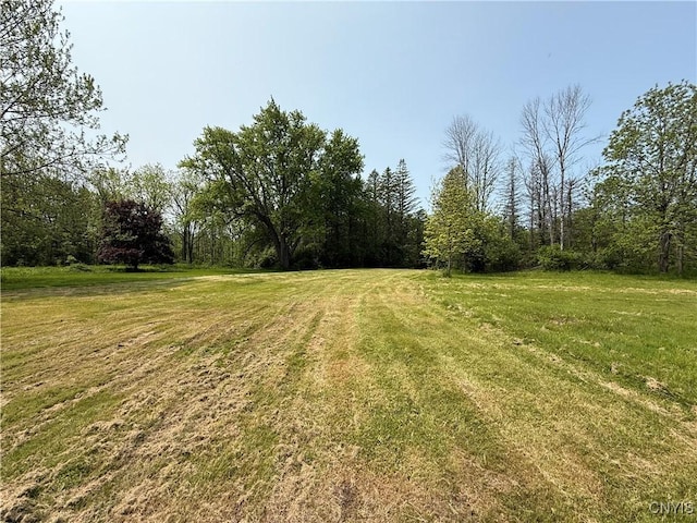 555 County Route 51, New Haven, NY 13114 - view of grassy yard