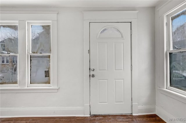 entrance foyer with dark wood-type flooring