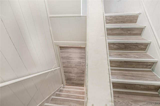 staircase featuring hardwood / wood-style flooring and wood walls