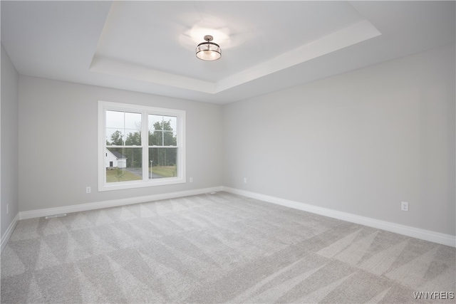 60 Woodthrush Trl, Orchard Park, NY 14127 - empty room featuring a raised ceiling and light colored carpet