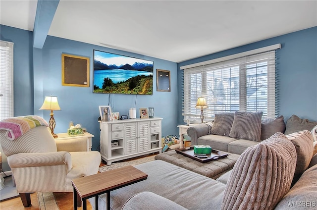 living room with hardwood / wood-style flooring