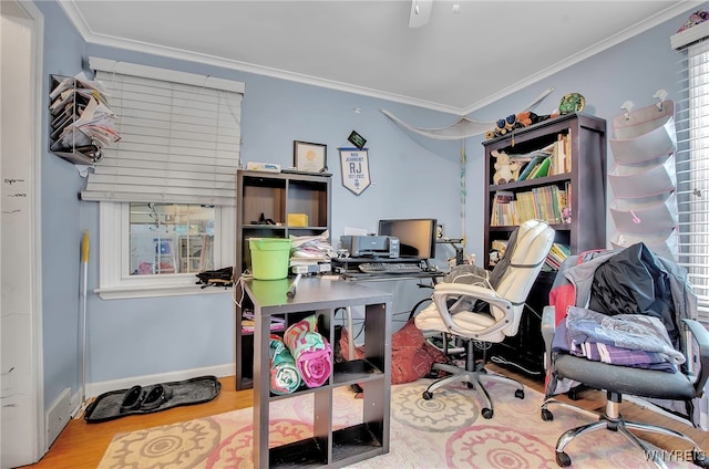 office featuring crown molding, light hardwood / wood-style flooring, and a wealth of natural light