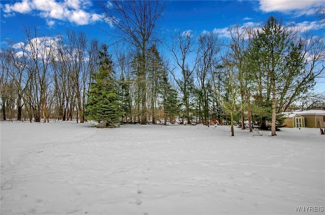 view of yard covered in snow