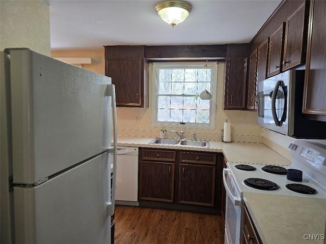 kitchen featuring dark wood-type flooring, white appliances, sink, and dark brown cabinets