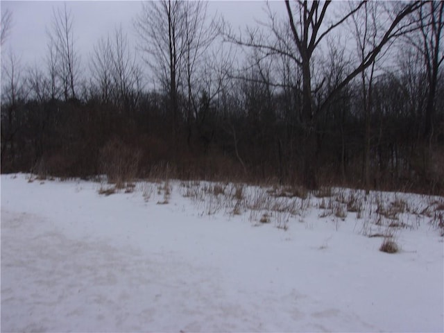 Main St, Richmond, NY 14471 - photo 4