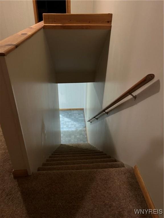 stairs featuring carpet