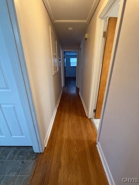 corridor featuring dark hardwood / wood-style floors