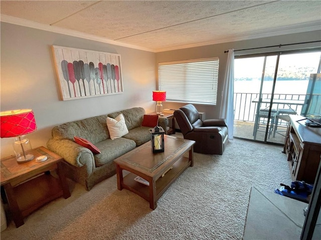 carpeted living room featuring crown molding and a textured ceiling